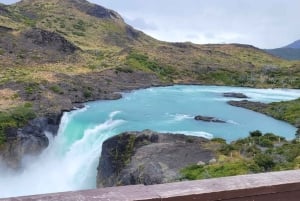 Puerto Natales: Torres del Paine Full Day Tour