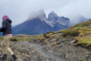 Puerto Natales: Torres del Paine Full Day Tour