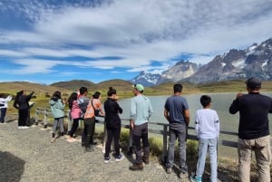 Puerto Natales: Torres del Paine Full Day Tour
