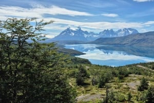 Puerto Natales: Torres del Paine Full Day Tour