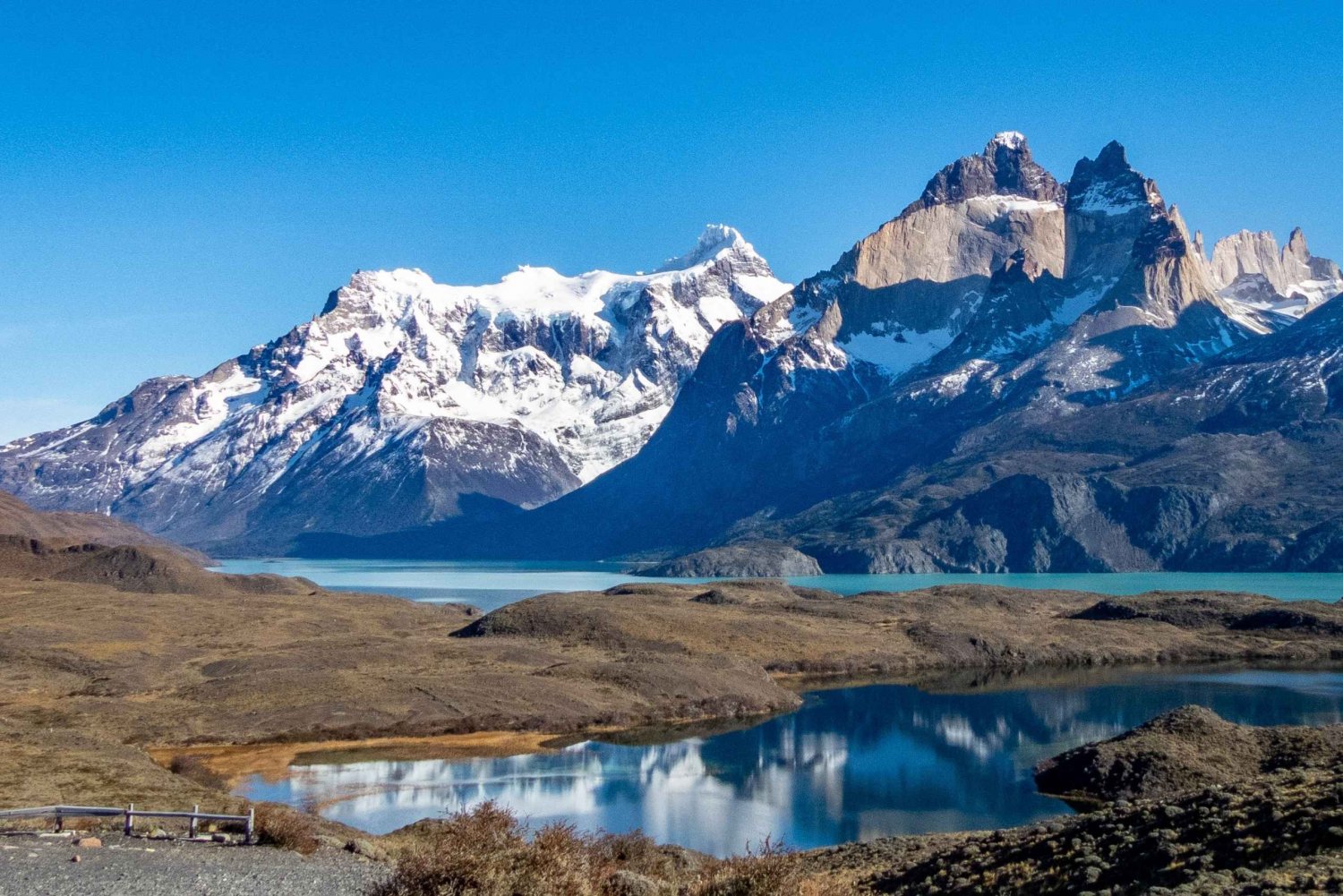 Puerto Natales: Torres del Paine Park Wandeling van een hele dag