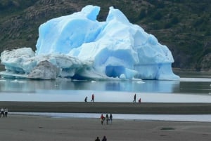 Puerto Natales: Tourpakket (Hele dag + Basis Torres + Grijs)