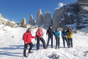 Puerto Natales: Tourpakket (Hele dag + Basis Torres + Grijs)