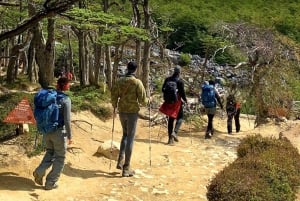 Puerto Natales: Tourpakket (Hele dag + Basis Torres + Grijs)