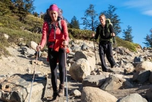 Puerto Natales: Tourpakket (Hele dag + Basis Torres + Grijs)