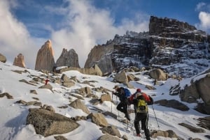 Puerto Natales: Tourpakket (Hele dag + Basis Torres + Grijs)
