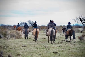 Puerto Natales: Traditional Horseback Riding Experience