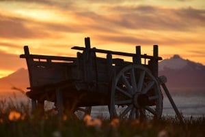 Puerto Natales: Traditional Horseback Riding Experience