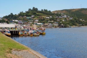 Puerto Varas: Ganztägige Chiloe Insel Tour Castro und dalcahue