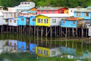 Puerto Varas: Tour di una giornata intera dell'isola di Chiloe Castro e dalcahue