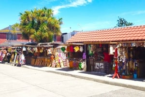 Puerto Varas: Heldagstur til Chiloe-øen Castro og dalcahue