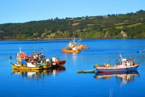 Puerto Varas: Heldagstur till ön Chiloe Castro och dalcahue