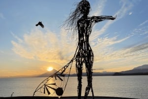 Puerto Varas: Halvdagstur til Puerto Montt inkludert.