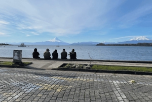 Puerto Varas: Halvdagstur til Puerto Montt inkludert.