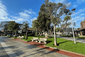 Puerto Varas: Halvdagstur til Puerto Montt inkludert.