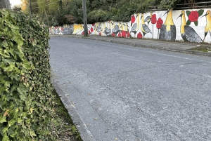 Puerto Varas: Halvdagstur til Puerto Montt inkludert.