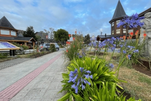Puerto Varas: Halvdagstur til Puerto Montt inkludert.