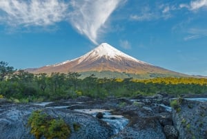 Puerto Varas: Varas: Osornon tulivuori päiväretki ilmastoidulla pakettiautolla: Osorno Volcano Day Trip by Air-conditioned Van