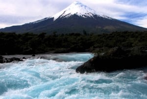 Puerto Varas: Osorno Volcano, Petrohue Falls Full-day Trip