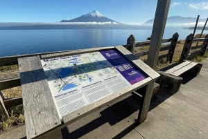 Puerto Varas: Tur til vulkanen Osorno og Petrohue, heldagstur