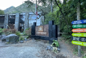 Puerto Varas: Tur til vulkanen Osorno og Petrohue, heldagstur