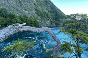 Puerto Varas: Tur til vulkanen Osorno og Petrohue, heldagstur