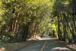 Puerto Varas: Tur til vulkanen Osorno og Petrohue, heldagstur