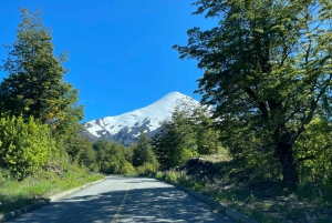 Puerto Varas: Tur til vulkanen Osorno og Petrohue, heldagstur