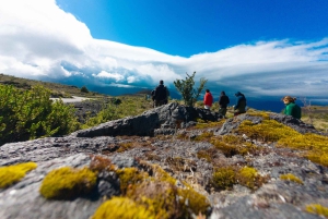 Puerto Varas: Tur til vulkanen Osorno og Petrohue, heldagstur
