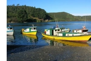 Puerto Varas: Puerto Montt & Puerto Varas Private City Tour