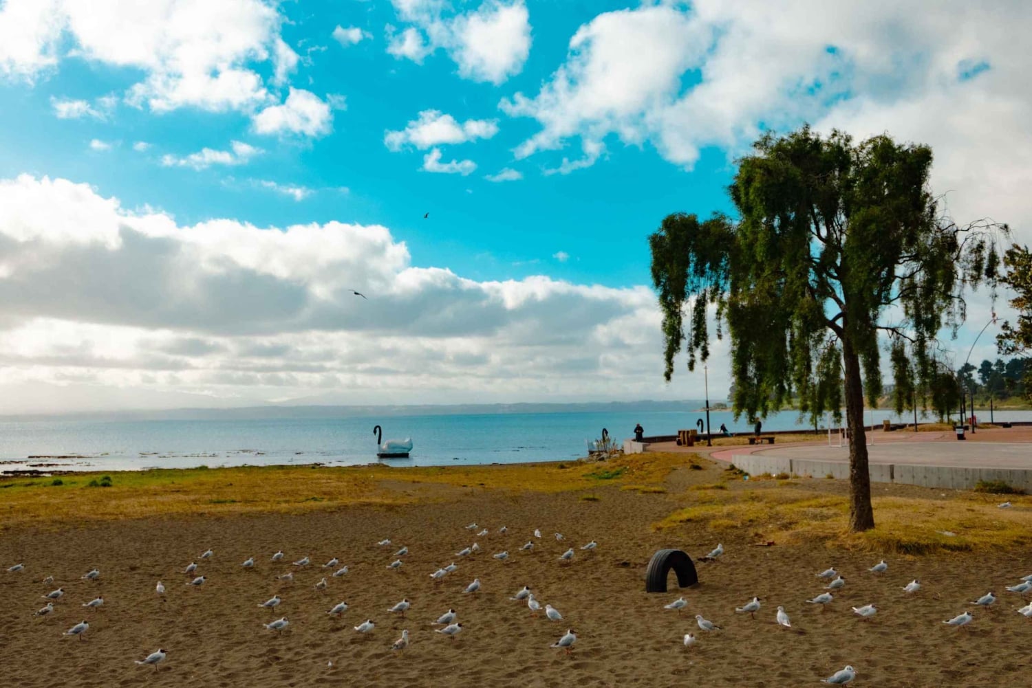 Puerto Varas: Besøg Llanquihue, Frutillar og Puerto Octay
