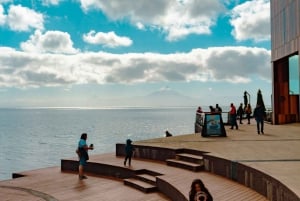 Puerto Varas: Besøg Llanquihue, Frutillar og Puerto Octay