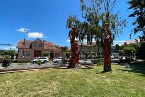 Puerto Varas: Besøg Llanquihue, Frutillar og Puerto Octay