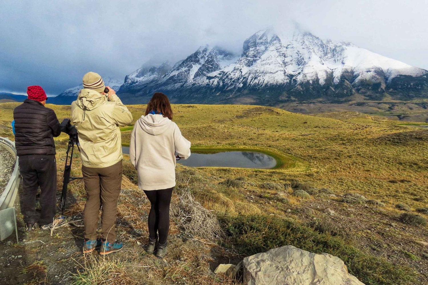 Puma safari - Torres del Paine