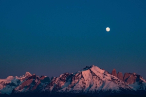 Puma safari - Torres del Paine