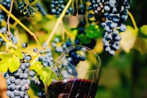 Punta arenas: clases de cocina chilena + vino chileno