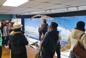 Punta Arenas: City tour en la ciudad más austral del mundo