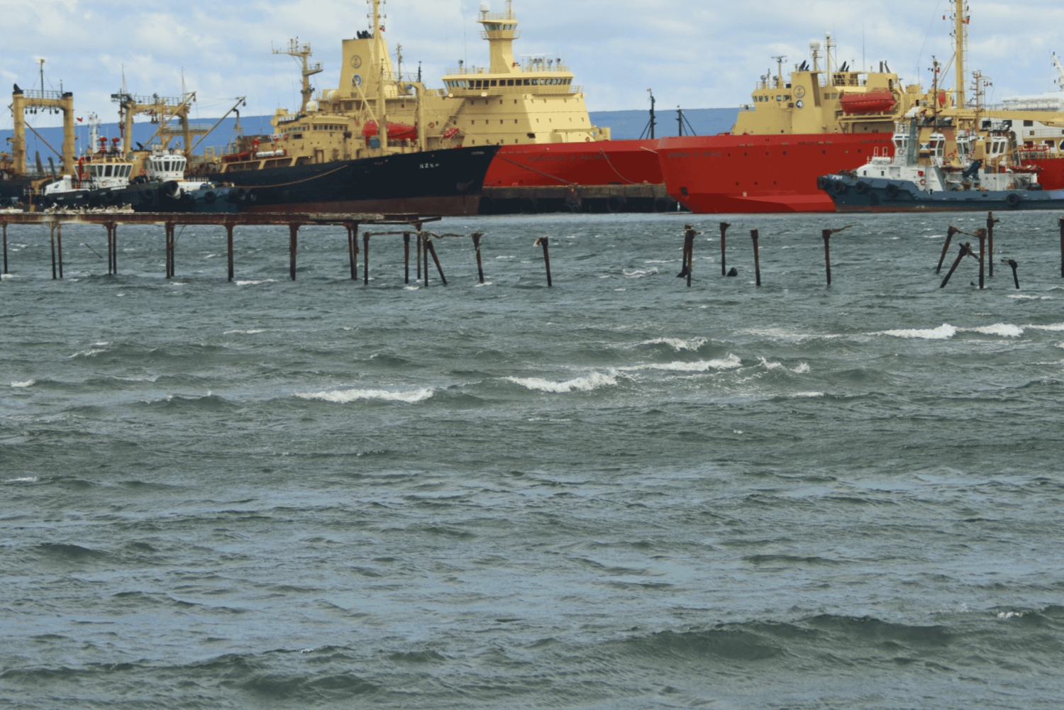 Punta Arenas: Stadtführung für Kreuzfahrtpassagiere