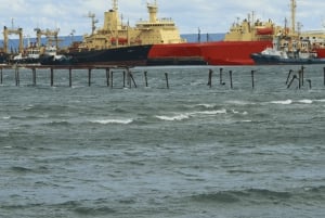 Punta Arenas: Stadtführung für Kreuzfahrtpassagiere