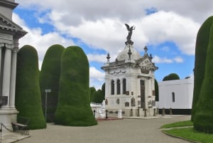 Punta Arenas: Stadtführung für Kreuzfahrtpassagiere