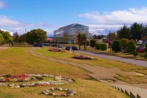 Punta Arenas: Stadtführung für Kreuzfahrtpassagiere