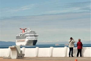 Punta Arenas: Stadtführung für Kreuzfahrtpassagiere