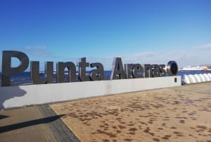 Punta Arenas: Stadtführung für Kreuzfahrtpassagiere