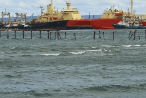 Punta Arenas: Stadtführung für Kreuzfahrtpassagiere