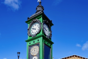 Punta Arenas: Stadtführung für Kreuzfahrtpassagiere