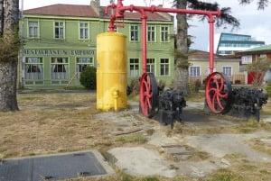 Punta Arenas: Guidet byrundtur med sightseeing og monumenter
