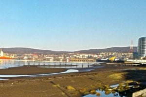Punta Arenas: Guidet byrundtur med sightseeing og monumenter