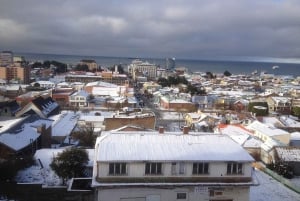 Punta Arenas: City Sightseeing and Monuments Guided Tour