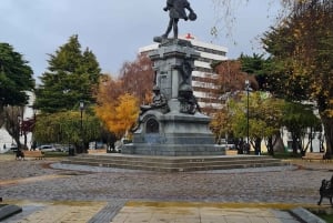 Punta Arenas: City Tour