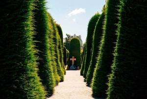 Punta Arenas: Klassisk guidad tur i Punta Arenas stad